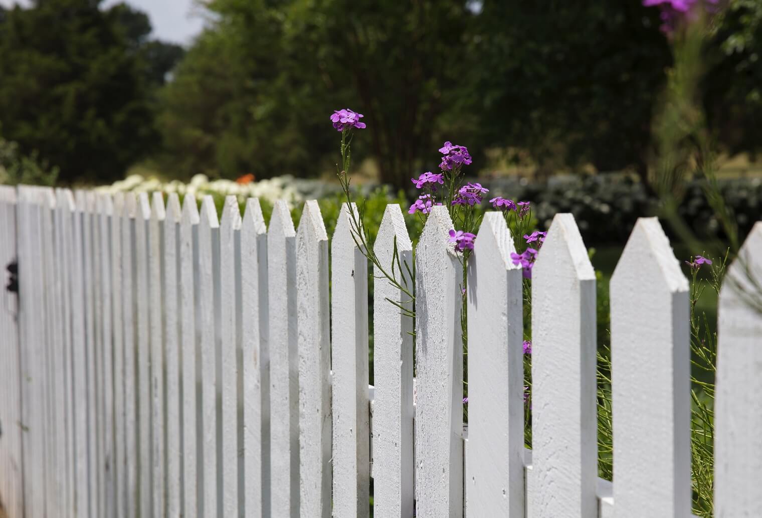 Residential fencing image